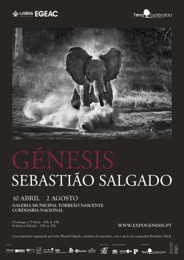 GENESIS Sebastião Salgado